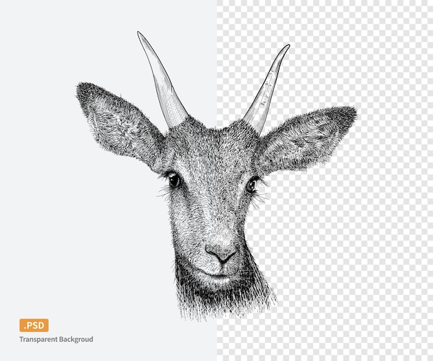 PSD a sketched deer head