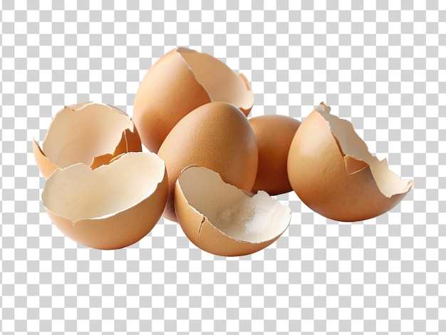 PSD skorupki jaj izolowane na przezroczystym tle