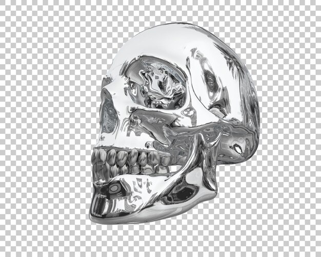 PSD skull isolated on background 3d rendering illustration