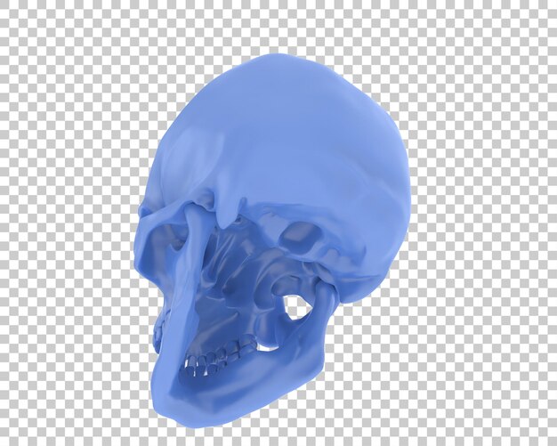 PSD skull isolated on background 3d rendering illustration