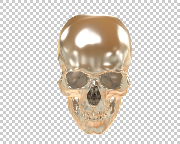 PSD skull isolated on background 3d rendering illustration