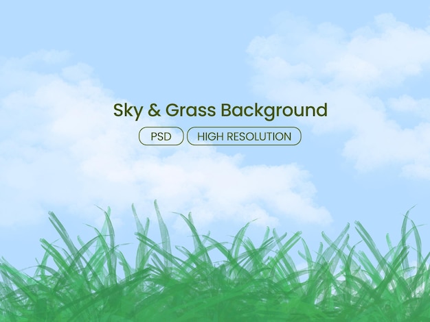 PSD sky and grass illustration background blank