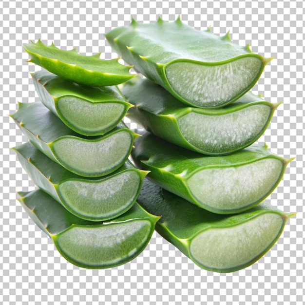 개진 알로에 png