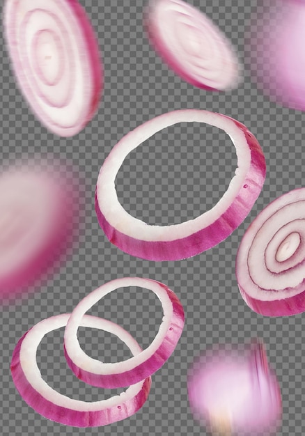 Sliced red onion rings levitating flying on trasparent background
