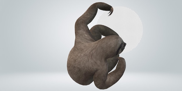 PSD sloth isolated on a transparent background