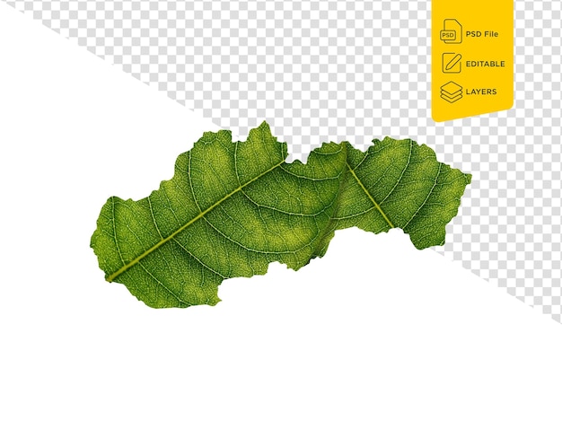 PSD スロバキアの地図 緑の葉と白い背景のエコロジーコンセプト 3dイラスト