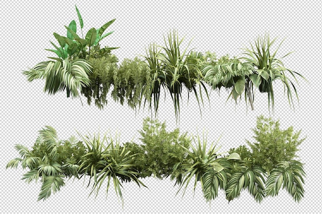 小さな庭にはたくさんの種類の植物や木があります
