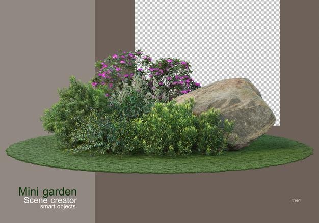 Small garden with decorative shrubs and stones