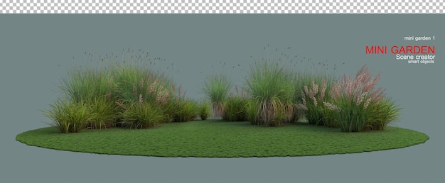 A small garden with many kinds of grass.