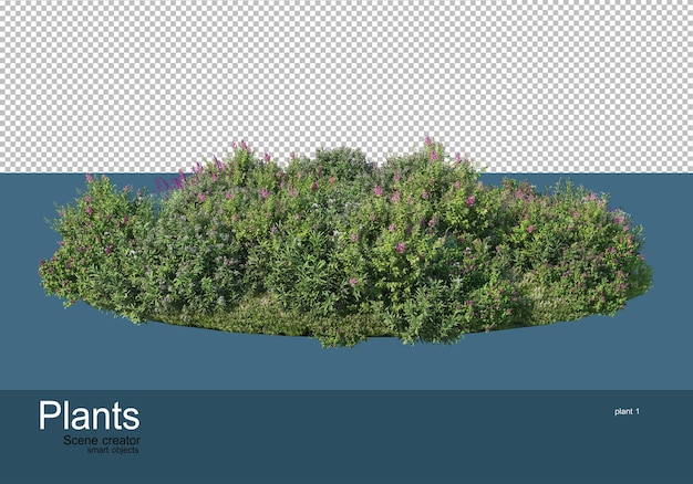 多くの植物がある小さな庭