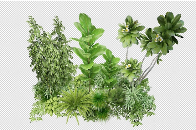 Small garden with many plants