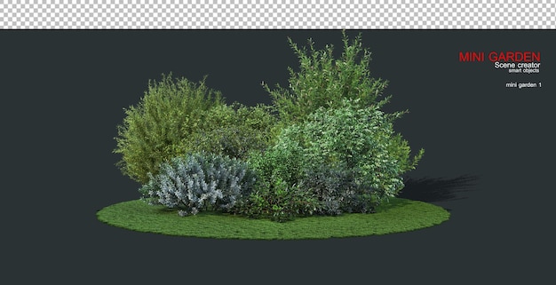 A small garden with many shrubs