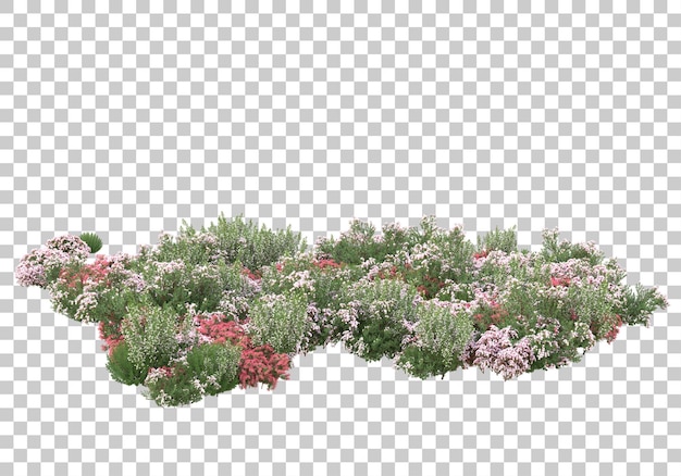 PSD 투명 한 배경 3d 렌더링 그림에 작은 녹색 덤불