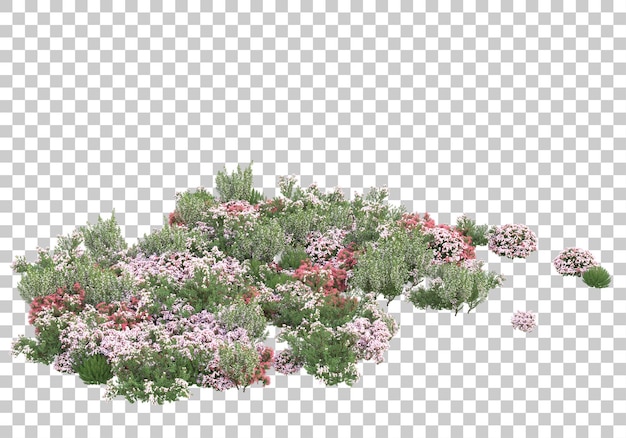 Small green bushes on transparent background 3d rendering illustration