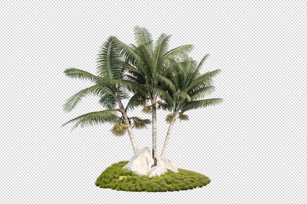 Piccola piantagione di palme
