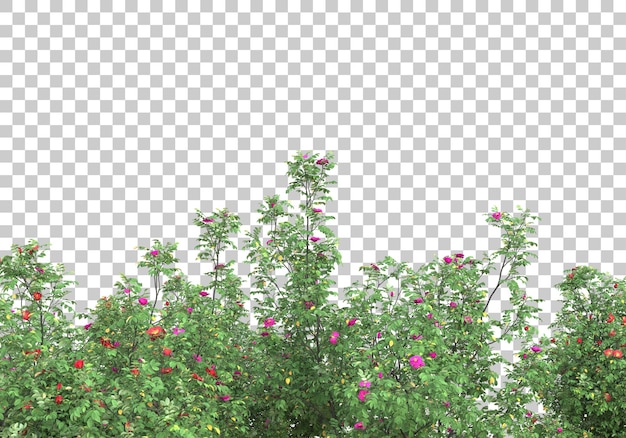 Small trees on transparent background 3d rendering illustration