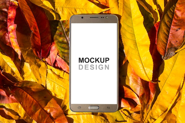 Smartphone mock up design, autumn leaves