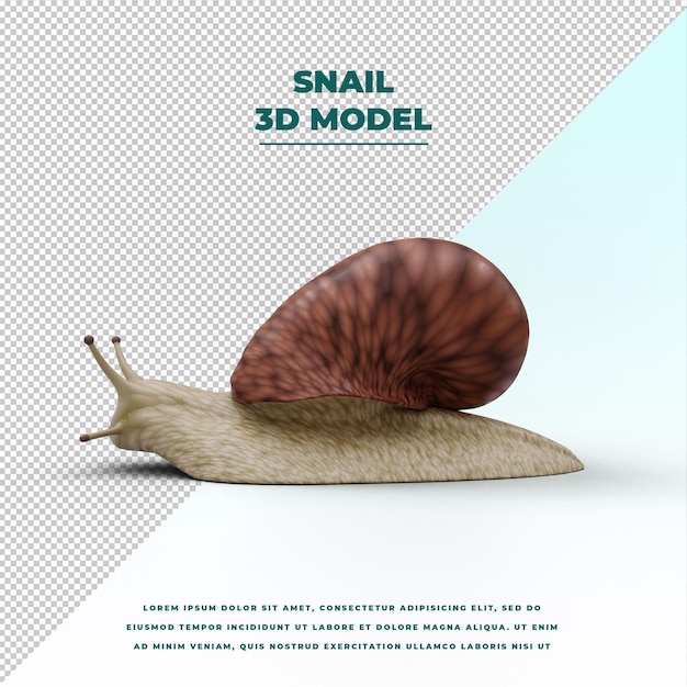 PSD snail