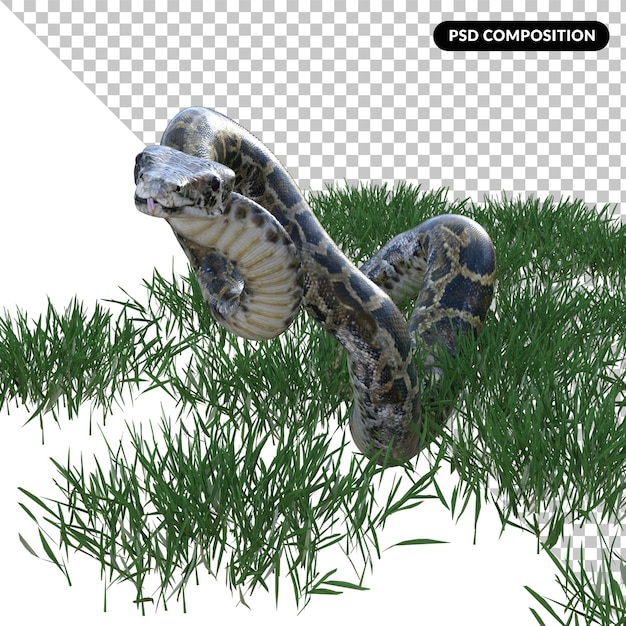 PSD 蛇の動物 孤立した3d