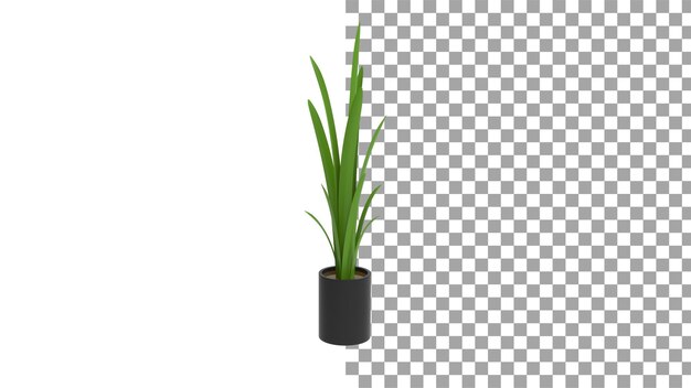 PSD snake plant with pot without shadow 3d render