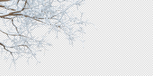 PSD snow covered branches of a tree on white