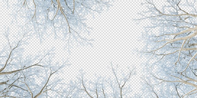 PSD snow covered branches of a tree on white