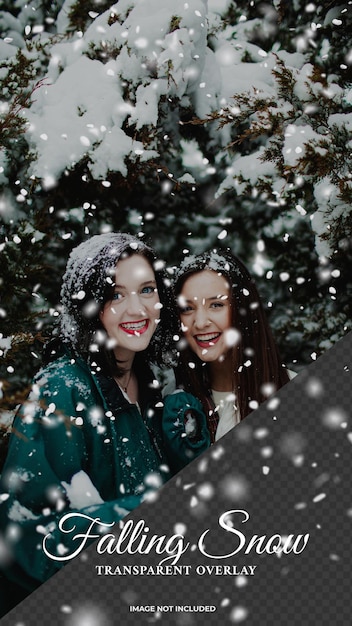 PSD snow falling down transparent overlay