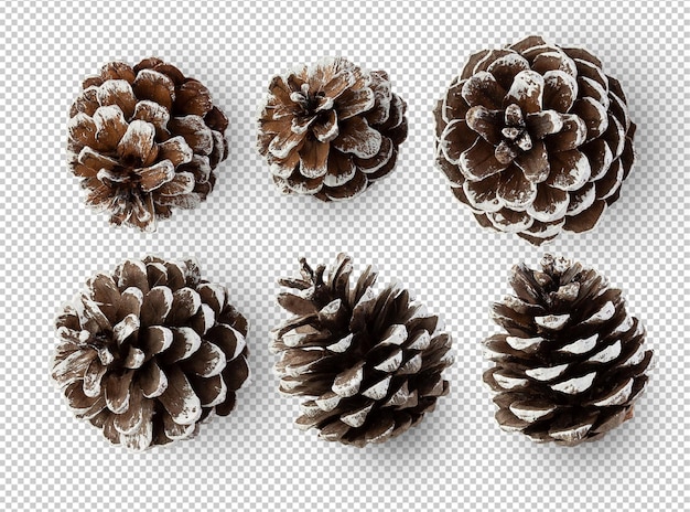 Snow pine cones cutout psd file