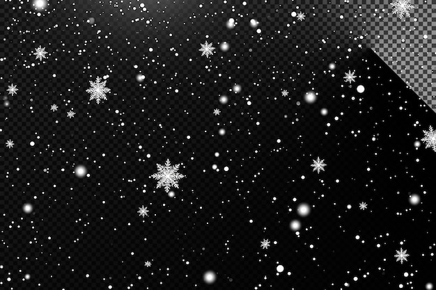 snowflakes particles on transparent background