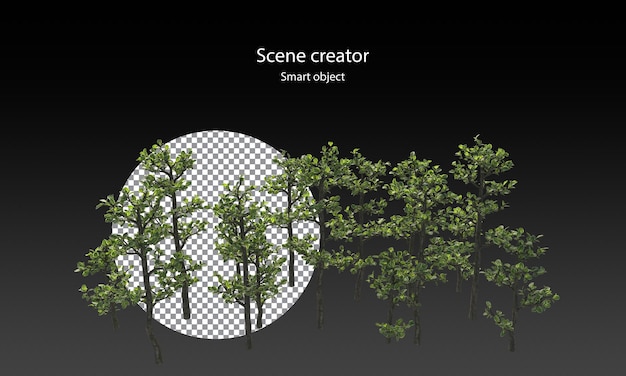 Snowrose-bomen en een verscheidenheid aan kleine planten geïsoleerd kleine planten uitknippad