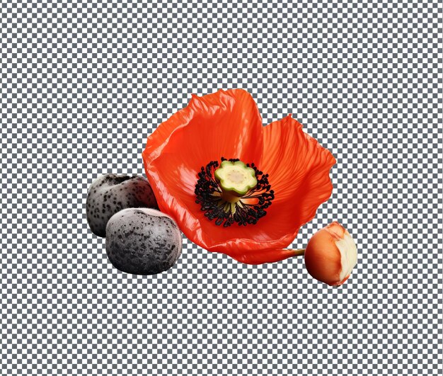 PSD so beautiful poppy seeds isolated on transparent background