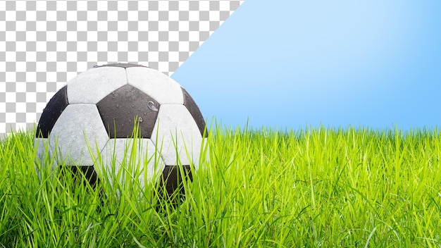 PSD soccer ball on a grass field isolated realistic soccer ball on the soccer field 3d render