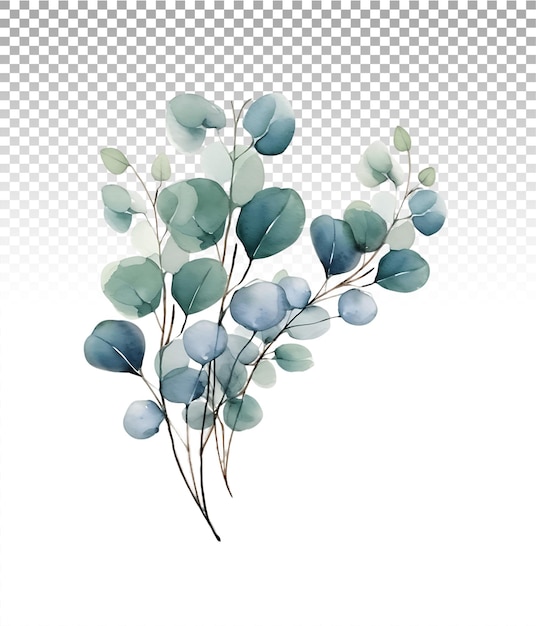 PSD soft watercolor brushstrokes for eucalyptus on clear surface