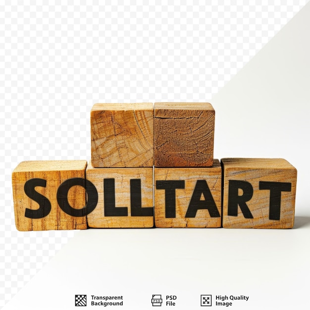 PSD solidarity word on wooden blocks with white isolated background