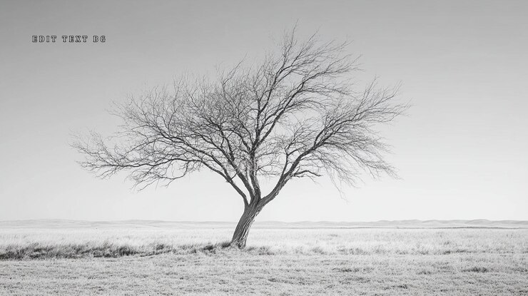 PSD solitary bare tree in monochrome landscape
