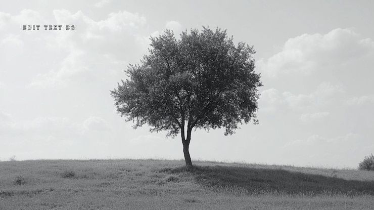 PSD solitary tree on grassy hill under a cloudy sky monochrome