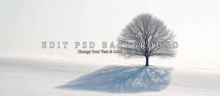 PSD 겨울 의 기적 의 나라 에서 외로운 나무