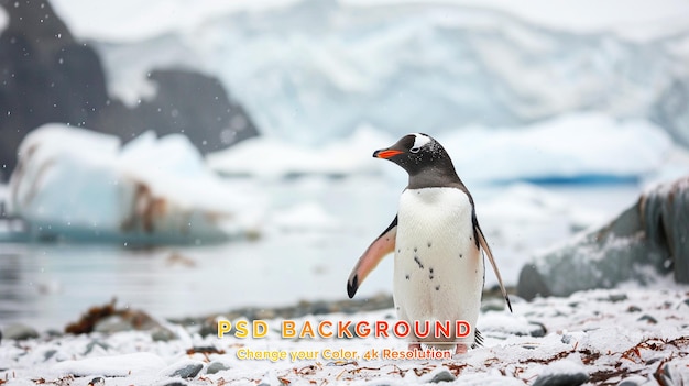 PSD Некоторые пингвины в арктике гуляют по северному полюсу.