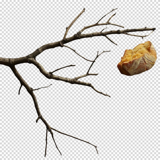 PSD sourdough bread isolated on transparent background