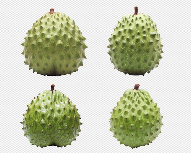 PSD soursop fruit png