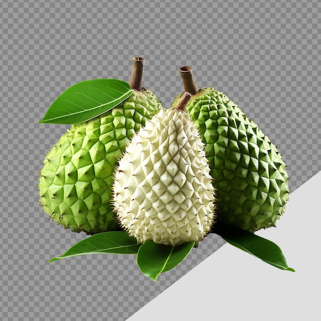 PSD soursop owoc png na przezroczystym tle