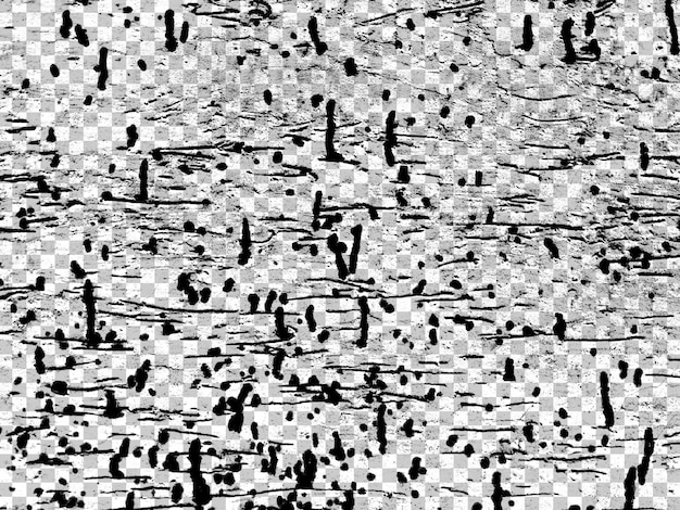 Soyut grunge siyah beyaz bozuk doku overlay efekti tasarım öğesi gürültü arka planı