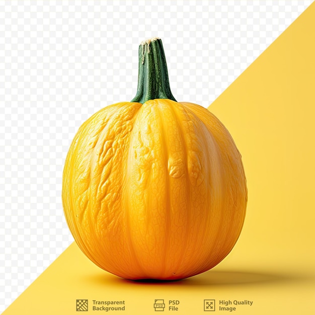 PSD spaghetti squash on transparent background