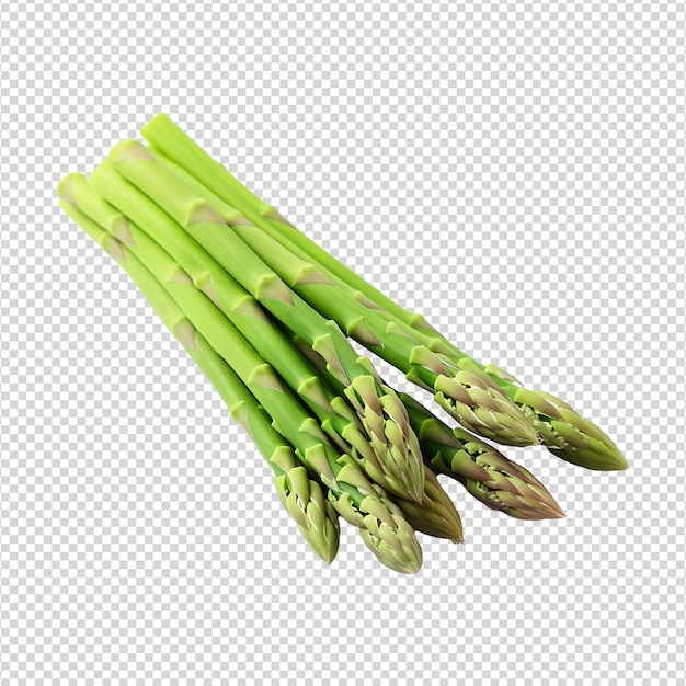 Spargel asparagus isolated on transparent background png