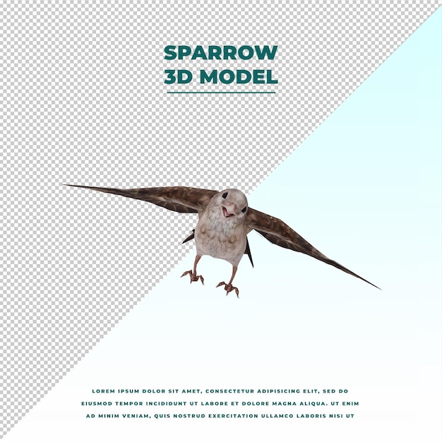 PSD sparrow