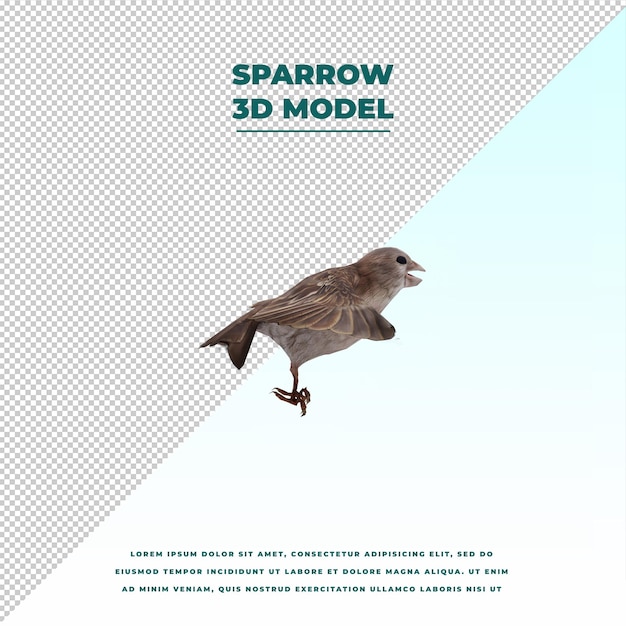 PSD sparrow