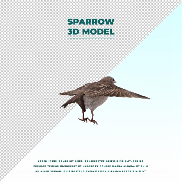 PSD sparrow