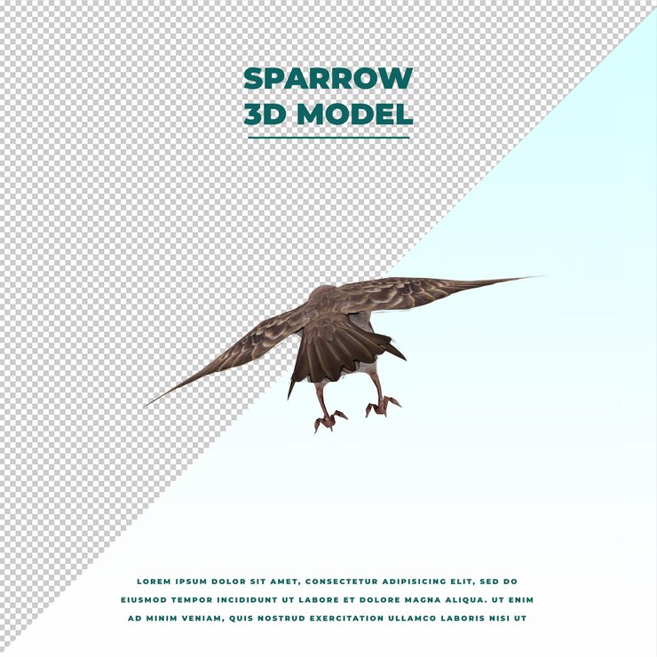 PSD sparrow