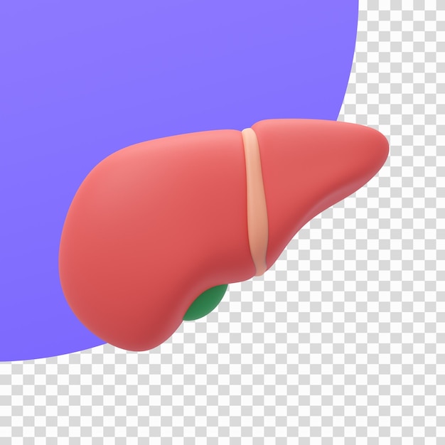 PSD specialist doctor take care of the organs in the body 3d illustration with clipping path