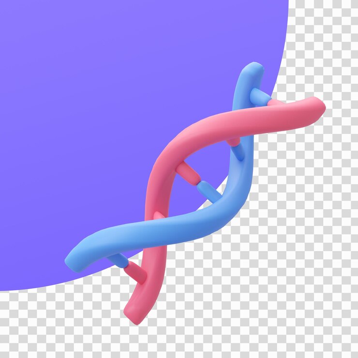 PSD specialist doctor take care of the organs in the body 3d illustration with clipping path